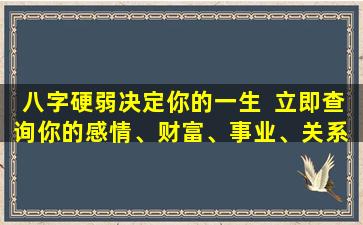 八字硬弱决定你的一生  立即查询你的感情、财富、事业、关系  ！